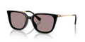 Swarovski SK6054D  Sunglasses
