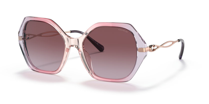 Coach HC8315 C3445 Sunglasses