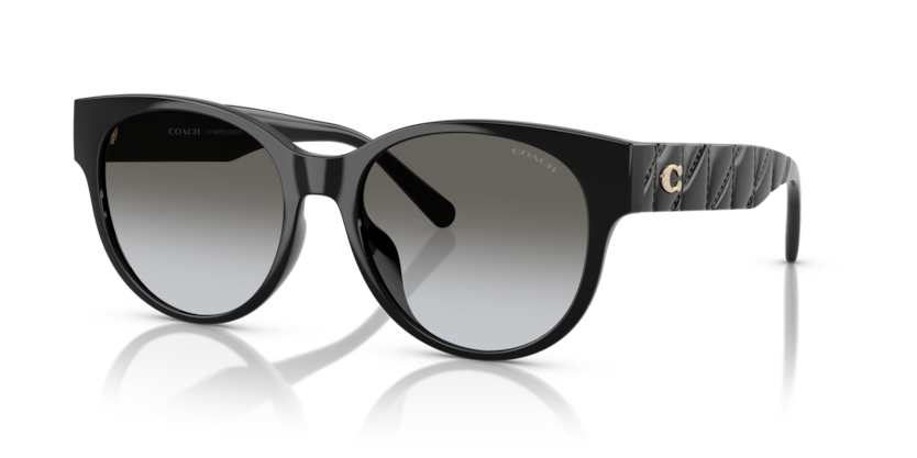 Coach HC8430D Cae87 Sunglasses