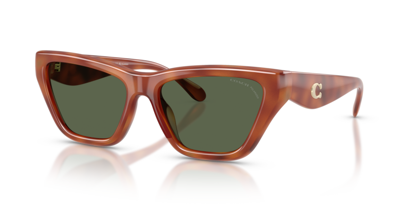 Coach HC8449U Cdp33 Sunglasses
