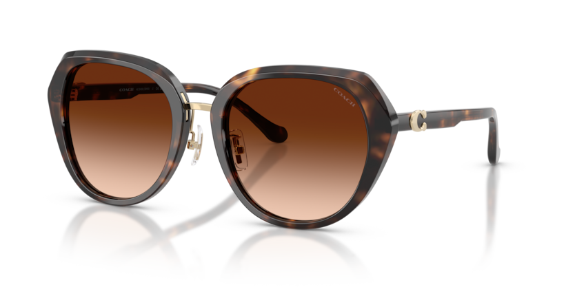 Coach HC8436 Cby93 Sunglasses