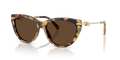 Tiffany TF4253F  Sunglasses