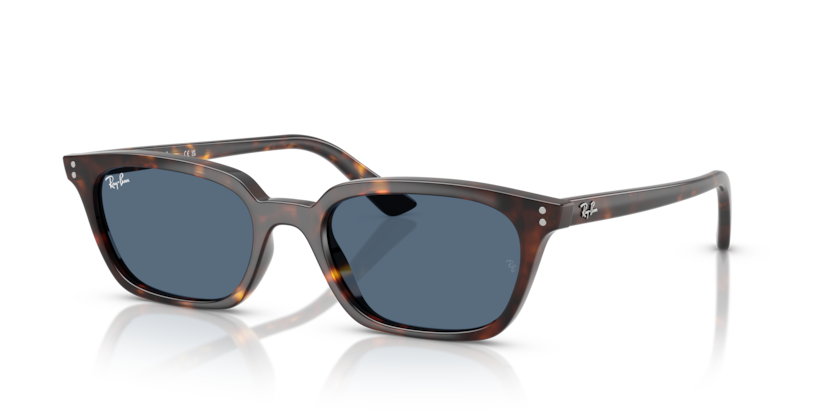 Ray-Ban RB4456 Zaya Sunglasses