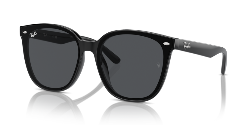 Ray-Ban RBR0101S Aviator Reverse Sunglasses