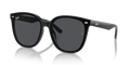 Ray-Ban RBR0101S Aviator Reverse Sunglasses
