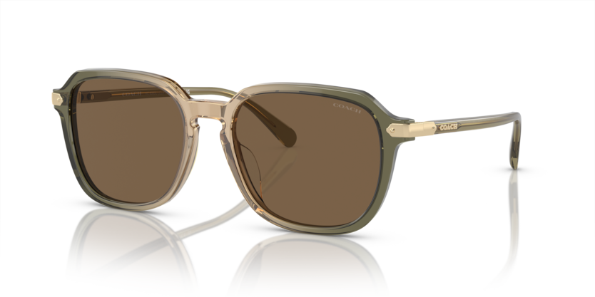 Coach HC8383U Cl912 Sunglasses