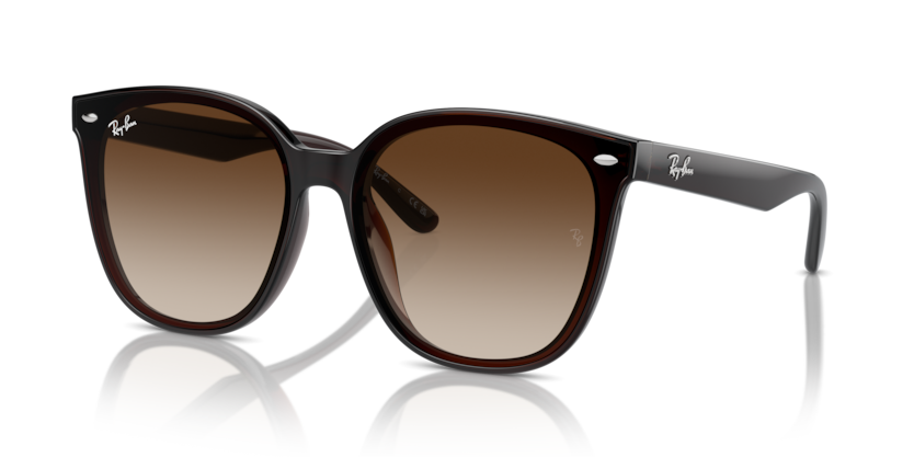 Ray-Ban RB4423D  Sunglasses