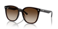 Ray-Ban RB4423D  Sunglasses