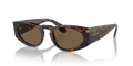 Giorgio Armani AR8216  Sunglasses