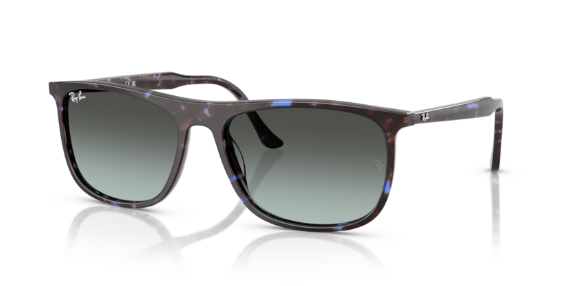 Ray-Ban RB2216  Sunglasses