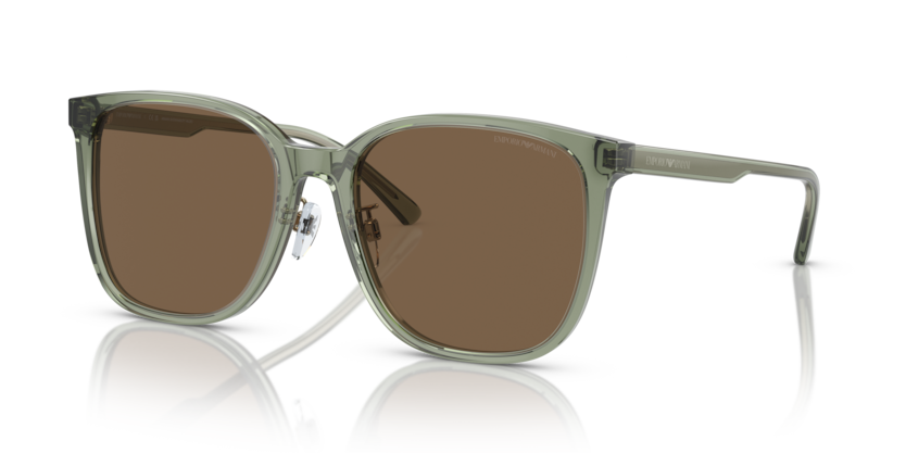Emporio Armani EA4206D  Sunglasses