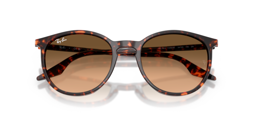 Ray-Ban RB2204  Sunglasses