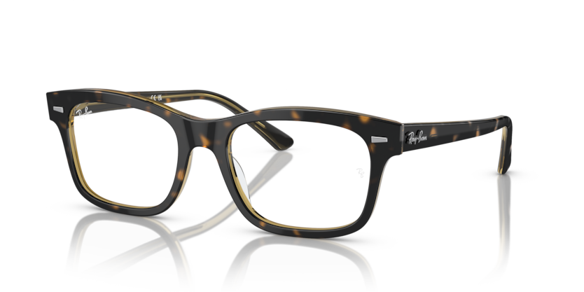 Ray-Ban Vista RX5383 Mr Burbank Eyeglasses