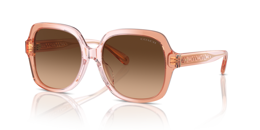 Coach HC8395U Cr614 Sunglasses