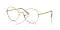 Swarovski SK1013  Eyeglasses