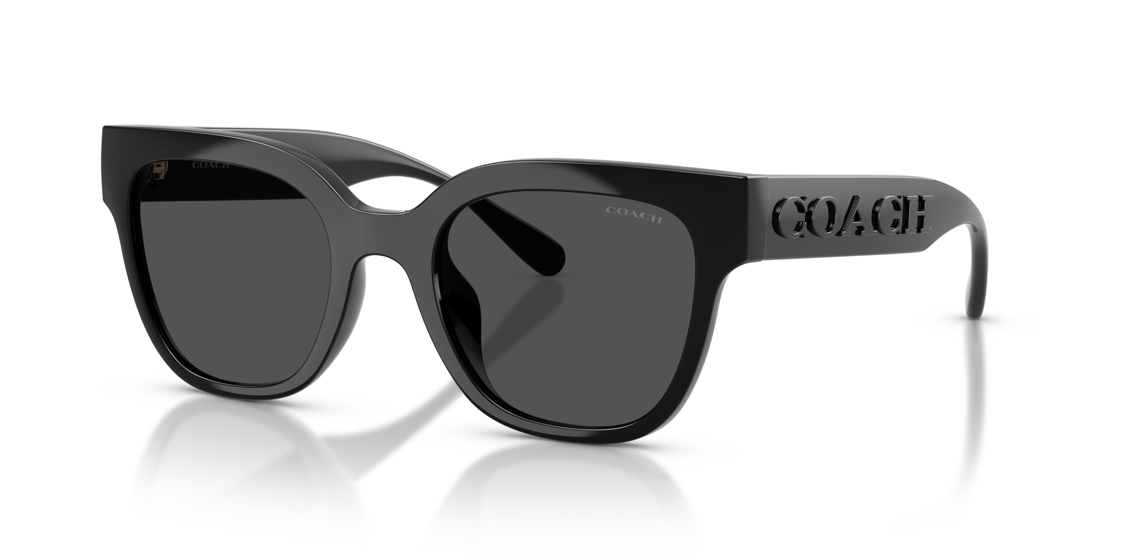 Coach HC8460U Cft88 Sunglasses