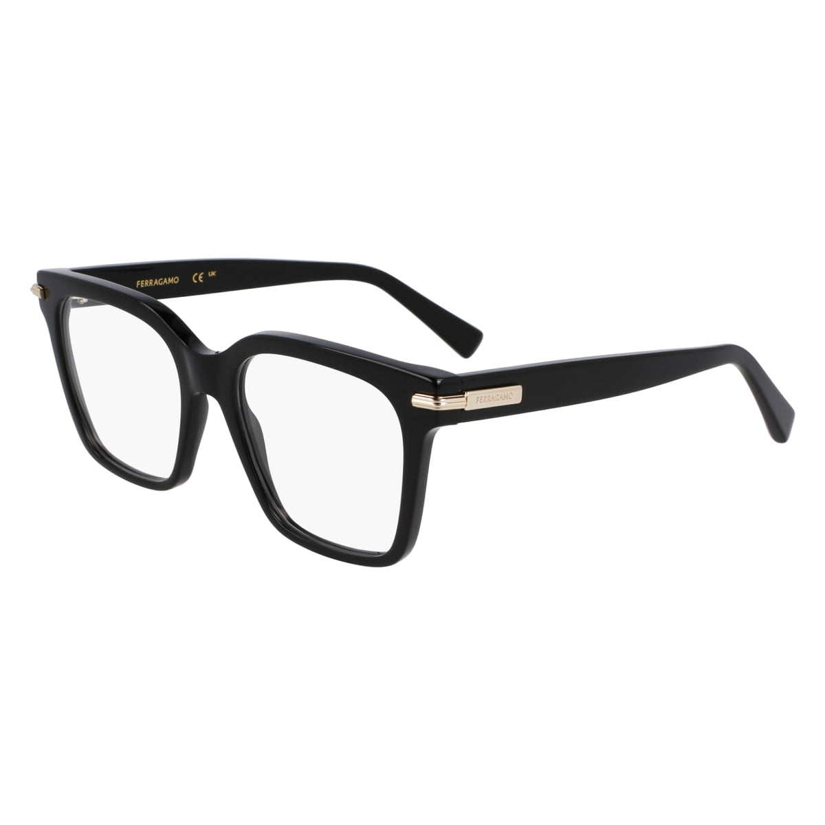 Ferragamo SF3009 Eyeglasses