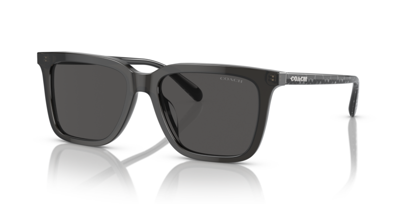 Coach HC8385U Cl910 Sunglasses