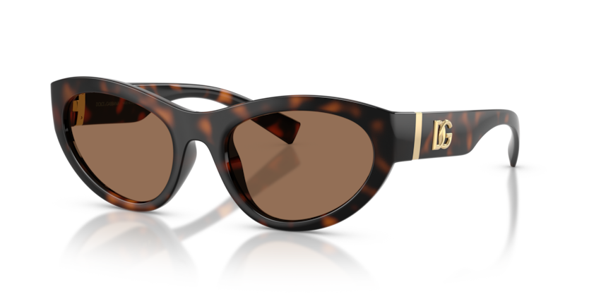 Dolce & Gabbana DG6207  Sunglasses