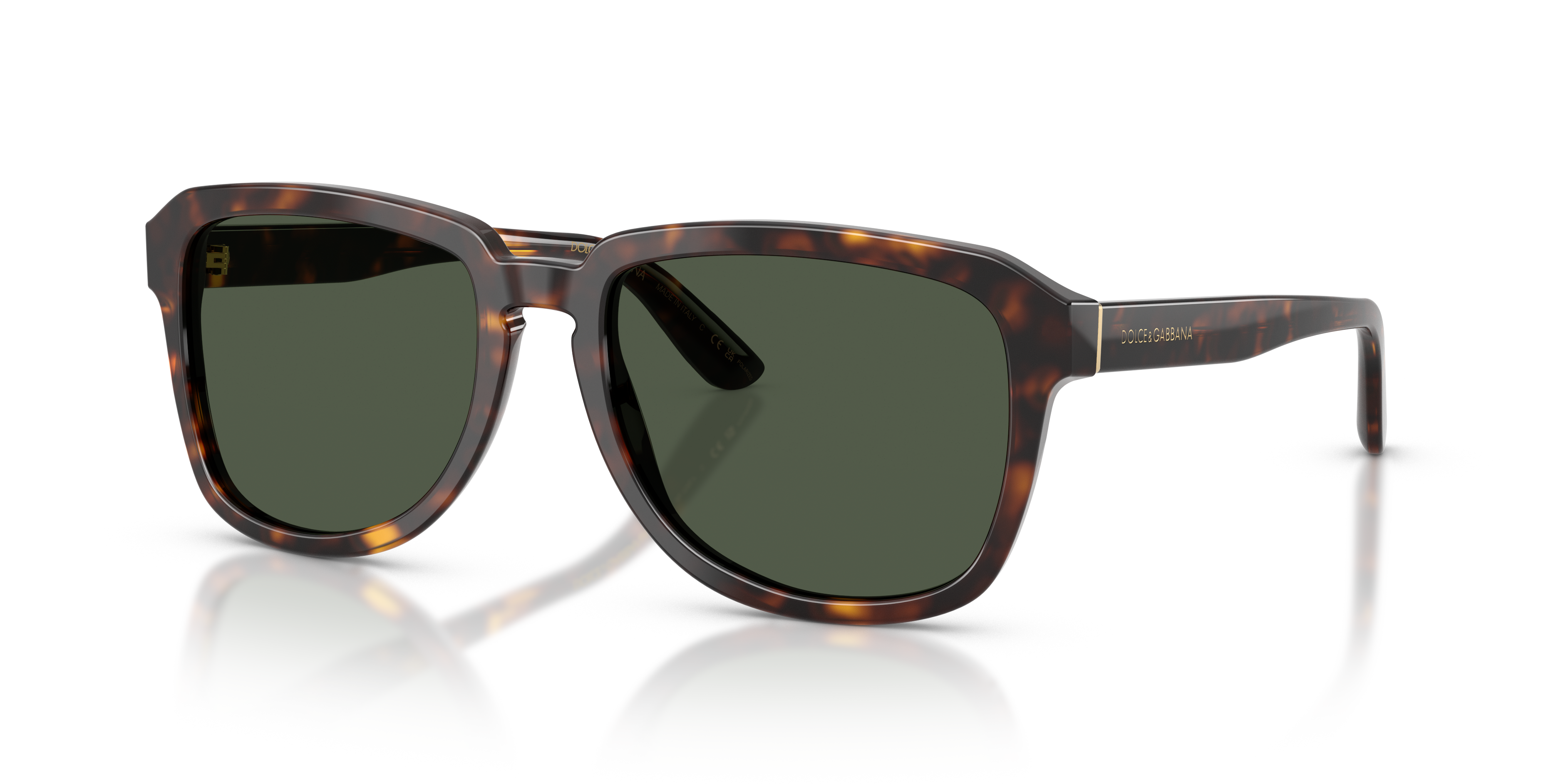 Dolce & Gabbana DG4566  Sunglasses