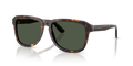 Dolce & Gabbana DG4566  Sunglasses