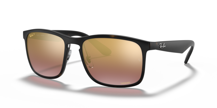 Ray-Ban RB4264  Sunglasses
