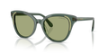 Swarovski SK6031  Sunglasses