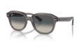 Ray-Ban RB4398 Erik Sunglasses