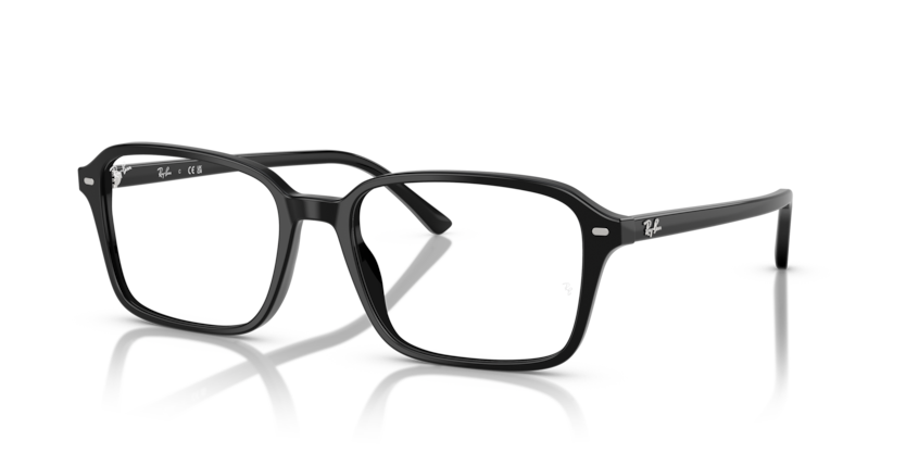 Ray-Ban Vista RX5431F Raimond Eyeglasses