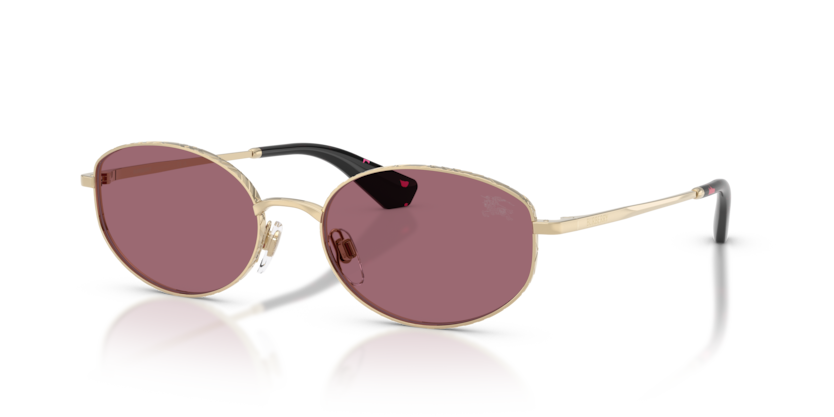 Burberry BE3169  Sunglasses