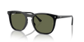 Ray-Ban RB2210F  Sunglasses