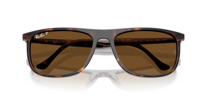 Ray-Ban RB2216F  Sunglasses