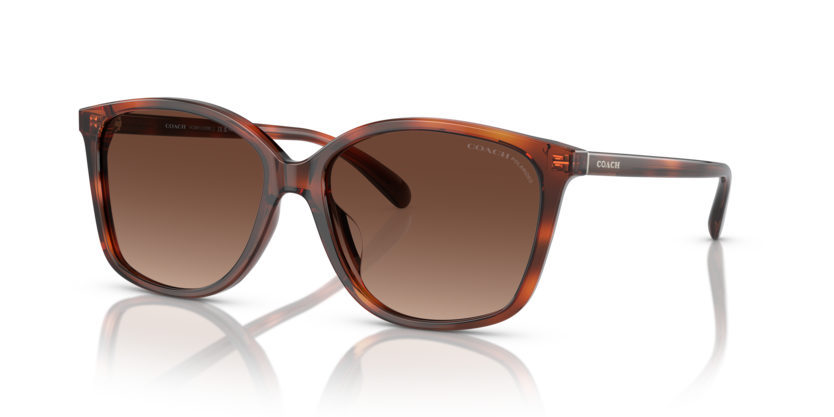 Coach HC8361U Ch558 Sunglasses
