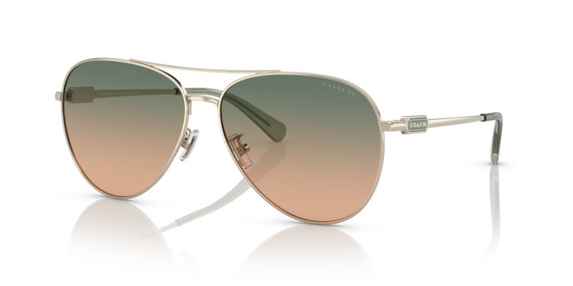 Coach HC7140 Cd474 Sunglasses