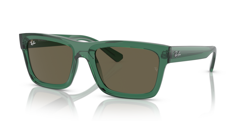 Ray-Ban RB4396F Warren Sunglasses