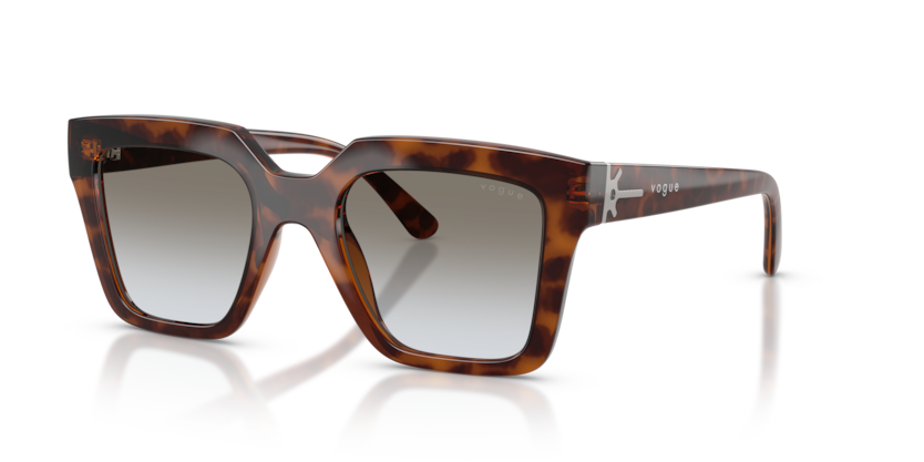Vogue VO5690S  Sunglasses