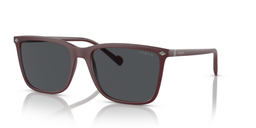 Vogue VO5493S  Sunglasses