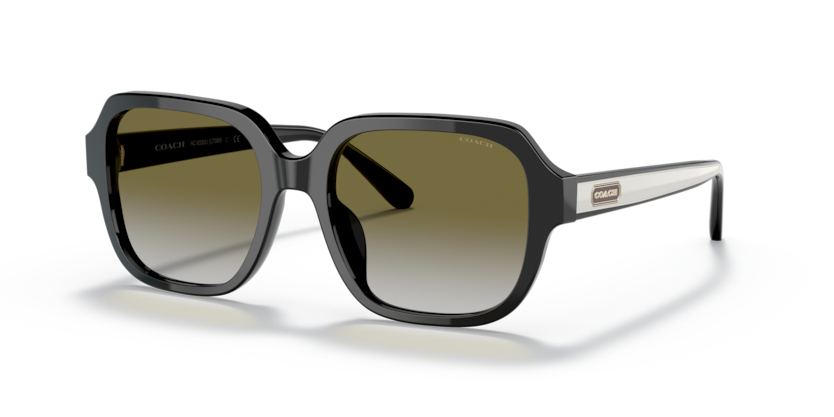 Coach HC8335U C7989 Sunglasses