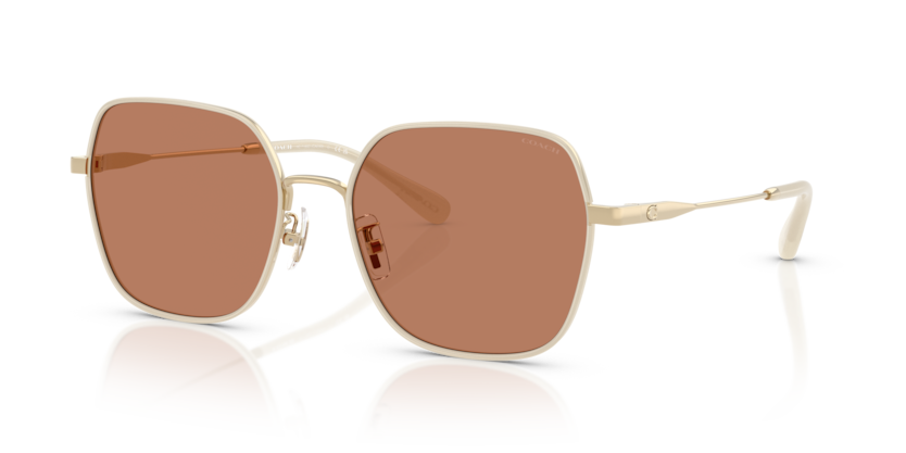 Coach HC7180D Cae93 Sunglasses