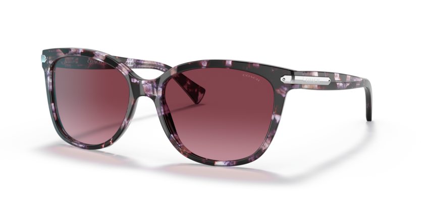 Coach HC8132 L109 Sunglasses
