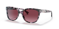 Coach HC8132 L109 Sunglasses