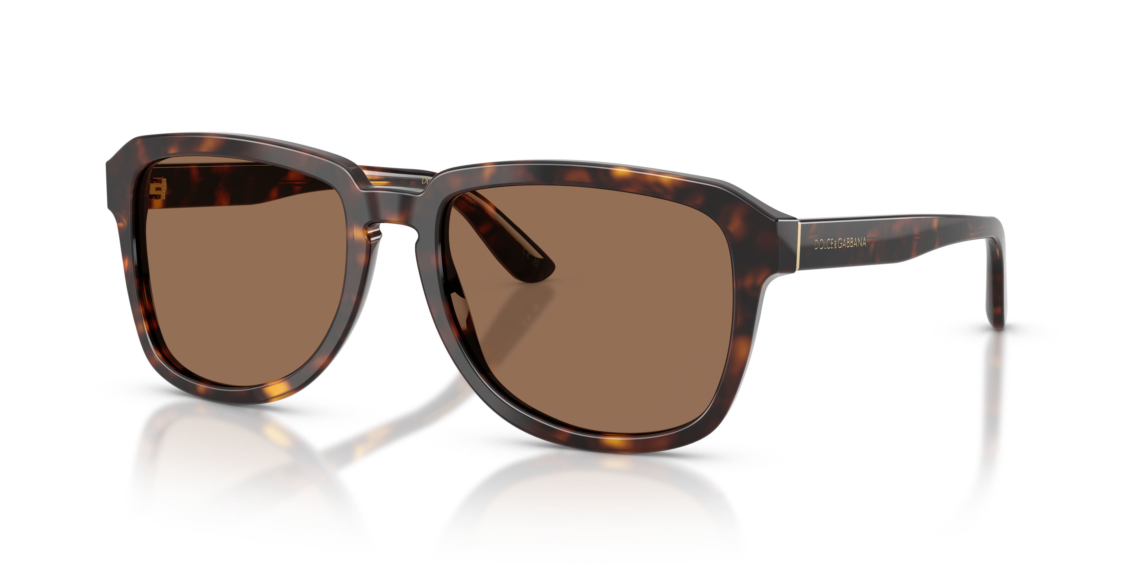 Dolce & Gabbana DG4566  Sunglasses