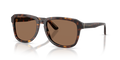 Dolce & Gabbana DG4566  Sunglasses