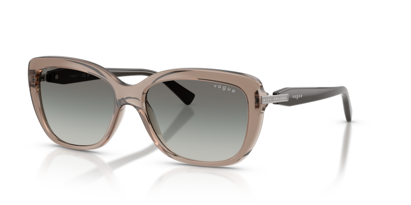 Vogue VO5678SB  Sunglasses