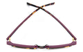Carrera 3056/s Sunglasses