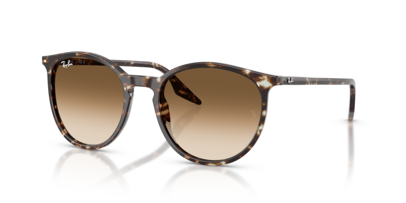 Ray-Ban RB2204  Sunglasses