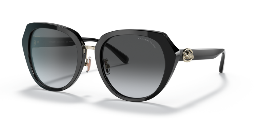 Coach HC8331 C6189 Sunglasses
