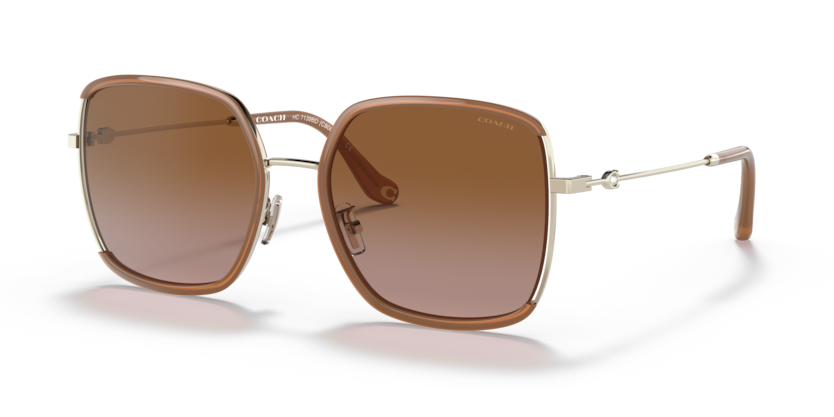 Coach HC7139BD C8000 Sunglasses