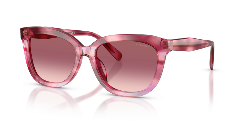 Coach HC8453U Cdp53 Sunglasses