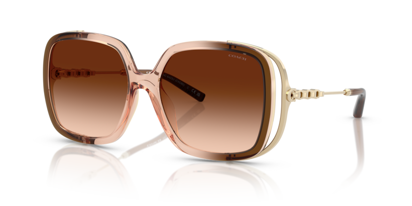 Coach HC8423U Cad80 Sunglasses